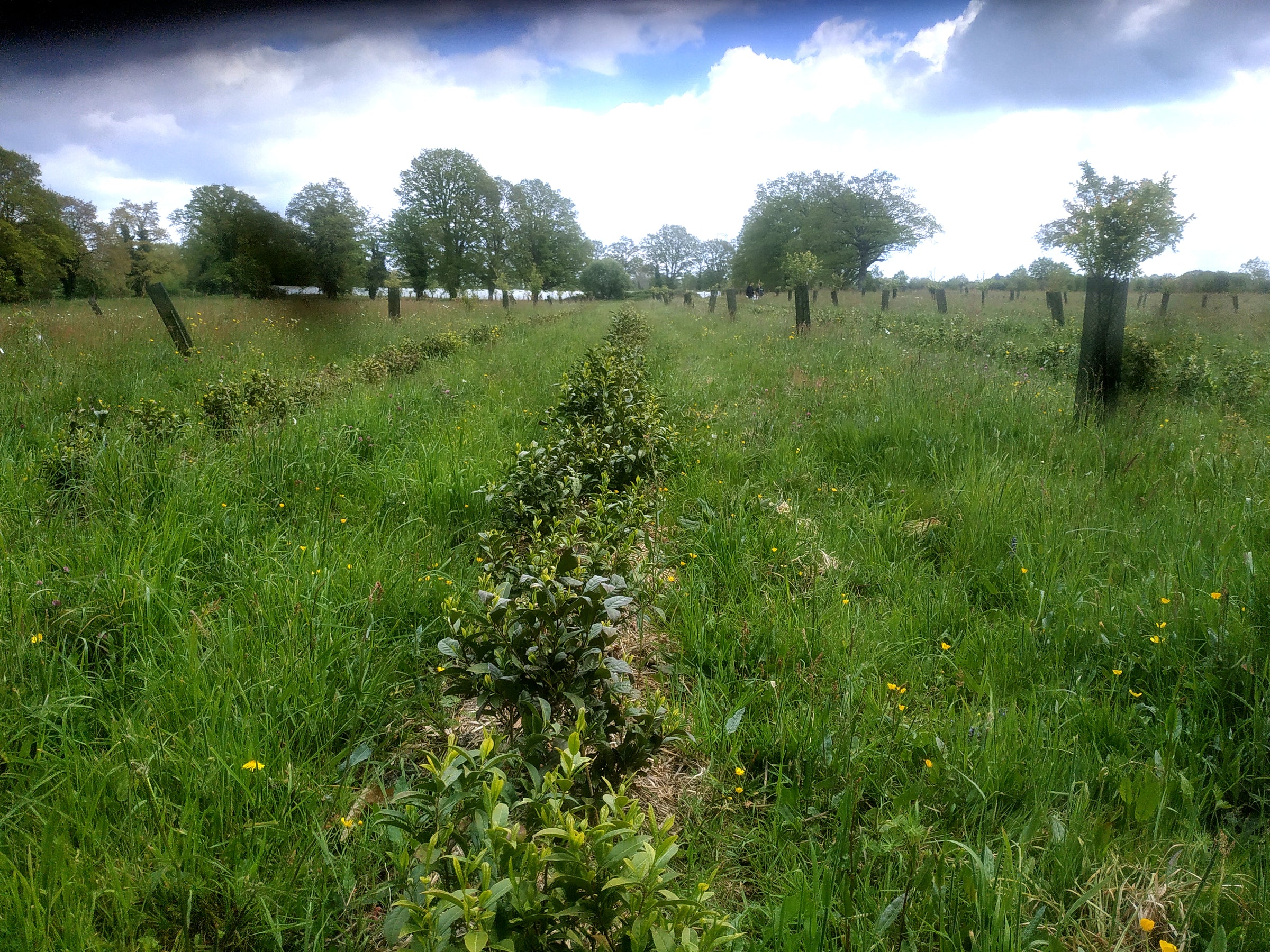 Les Landes Vivantes