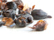 Cascara